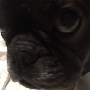 Meet your Posher, Kara